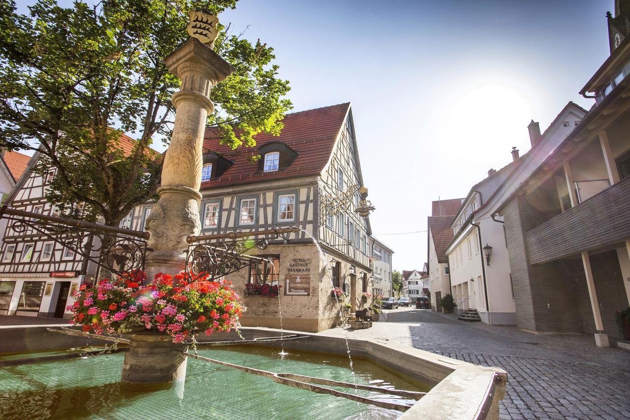 Hotel Herrmann Мюнзинген Экстерьер фото